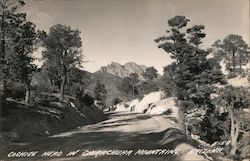 Cochise Head in Chirachuha Mountains Postcard