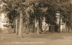 Scene in City Park Postcard
