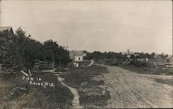 View of Country Lane Postcard