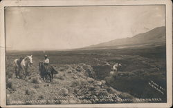 Little Salmon River Valley, Looking North from Birds Nest HIl, A Fertile Farming Area Postcard