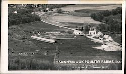 Sunnybrook Poultry Farms Hudson, NY Postcard Postcard Postcard