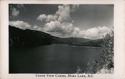 Cedar View Cabins Postcard