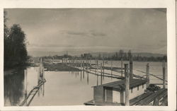 Alaska River Scene, Logging, Houseboat Postcard