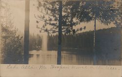 Lake Alta, view across lake through tall evergreen trees Postcard