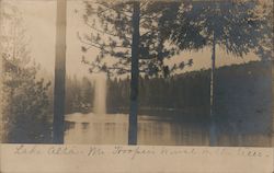 Lake Alta, view across lake through tall evergreen trees Pateros, WA Postcard Postcard Postcard