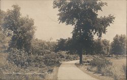 View in Prospect Garden Chicago, IL Postcard Postcard Postcard