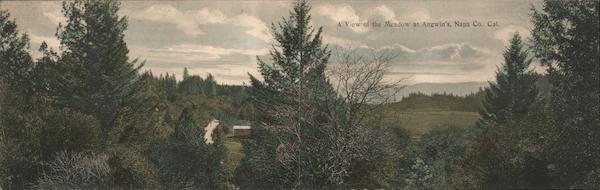 Rare: A View of the Meadow at Angwin's, Napa County California
