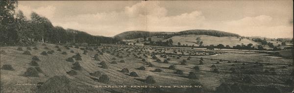 Briarcliff Farms Co. Pine Plains New York
