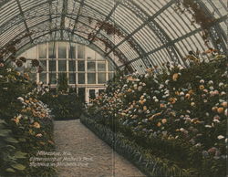 Conservatory at Mitchell's Park Milwaukee, WI Large Format Postcard Large Format Postcard Large Format Postcard