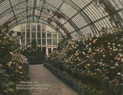 Conservatory at Mitchell's Park Large Format Postcard