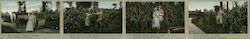 Farmers, Corn, 4-fold Romance Scenes Large Format Postcard