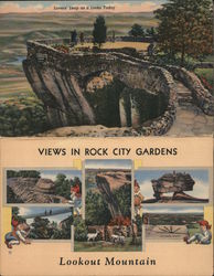 Views in Rock City Gardens - Lookout Mountain Chattanooga, TN Large Format Postcard Large Format Postcard Large Format Postcard