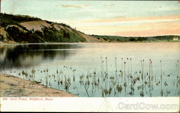 Gull Pond Wellfleet Massachusetts