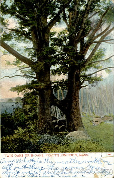 Twin Oaks Or H-Oaks, Pratt's Junction Sterling Massachusetts