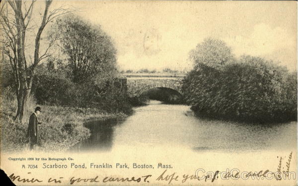 Scarboro Pond, Franklin Park Boston Massachusetts