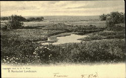 A Nantucket Landscape Postcard
