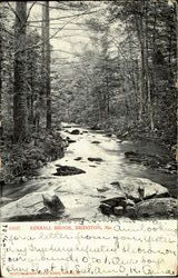 Kimball Brook Postcard