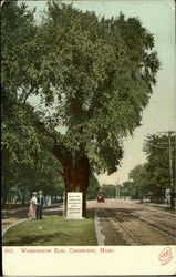 Stock #71464 Thumbnail