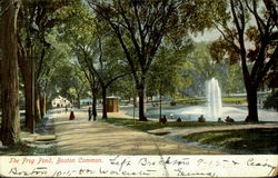 The Frog Pond, Boston Common Postcard
