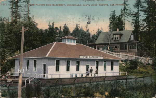 The Famous Fish Hatchery Brookdale California