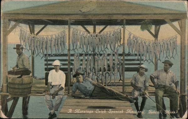 A Morning Catch Spanish Mackerel Biloxi Mississippi