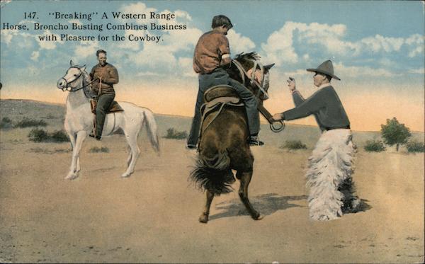 Breaking a Western Range Horse Cowboy Western