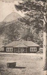 Fish Hatchery Estes Park, CO Postcard Postcard Postcard