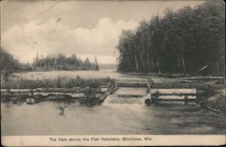 The Dam above the Fish Hatchery Postcard