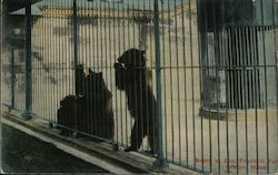 Stock #965984 Thumbnail