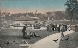 Longfellow Gardens, Minnehaha Falls Postcard