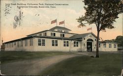 Live Stock Building Chilhowee Park, National Conservation, Exposition Grounds Postcard
