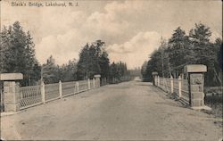 Black's Bridge Lakehurst, NJ Postcard Postcard Postcard