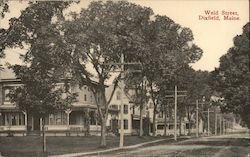 Weld Street Dixfield, ME Postcard Postcard Postcard