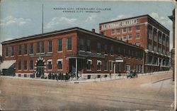 Kansas City Veterinary Hospital Postcard