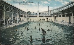 Natatorium, Electric Park Postcard
