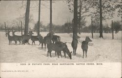 Deer in Private Park, Near Sanitarium Battle Creek, MI Postcard Postcard Postcard