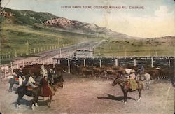 Cattle Ranch Scene at the Colorado Midland Railway Postcard