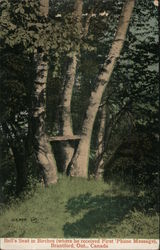Bell's Seat in Birches Where He Received First Phone Message Postcard
