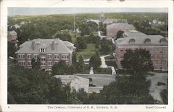 The Campus, University of N.H. Postcard