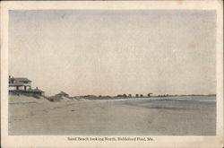 Sand Beach Looking North Biddeford Pool, ME Postcard Postcard Postcard