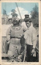 Sponge Diver Postcard