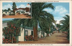 Young's Auto Court Postcard