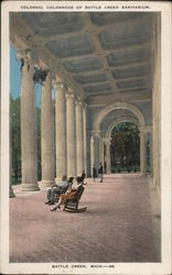 Colossal Colonnade of Battle Creek Sanatorium Michigan Postcard Postcard Postcard