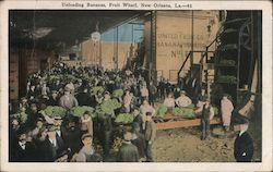 Unloading Bananas, Fruit Wharf Postcard