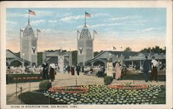 Scene in Riverview Park Postcard