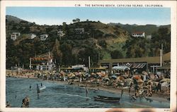 The Bathing Beach Santa Catalina Island, CA Postcard Postcard Postcard