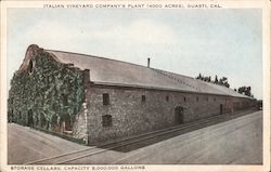 Italian Vineyard Company's Plant Postcard