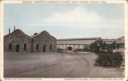 Italian Vineyard Company's Plant Postcard