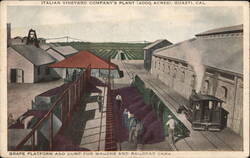Italian Vineyard Company's Plant - Grape Platform and Dump for Wagons and Railroad Cars Postcard