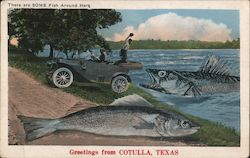 Greetings From Cotulla, Texas - Giant Fish Postcard